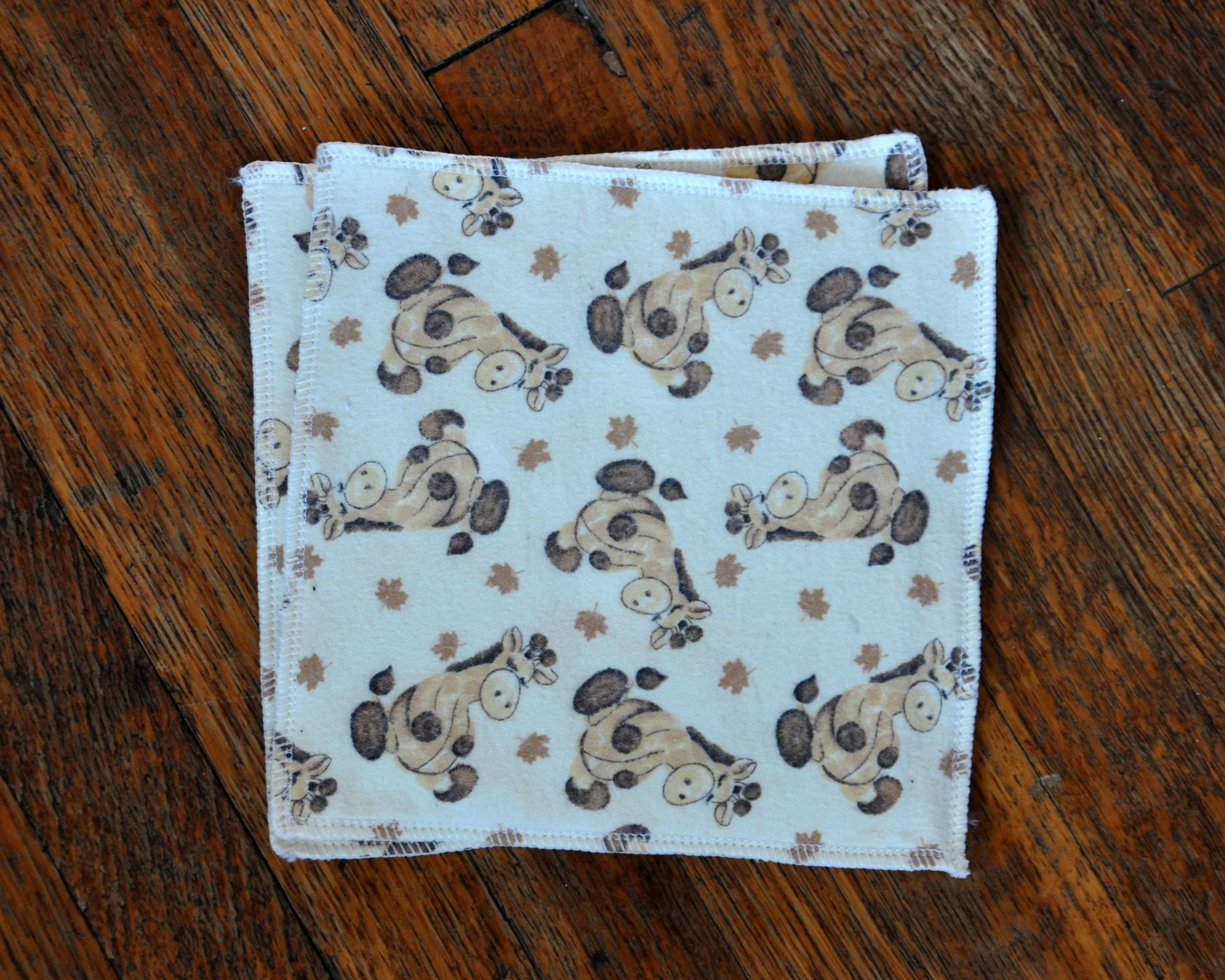 Cloth Wipes Set of Six - Boys